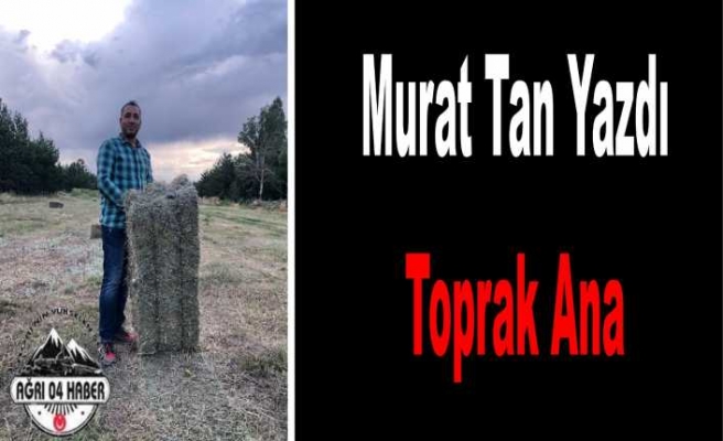 Toprak Ana