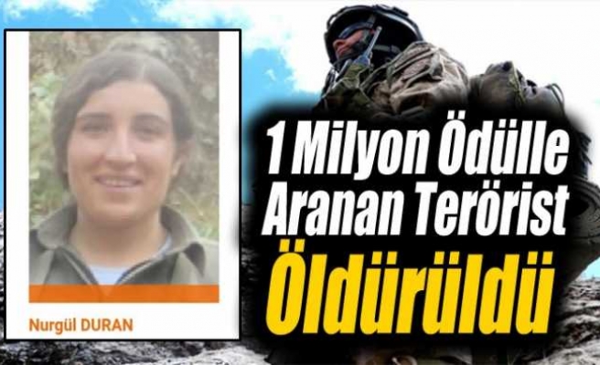 1 Milyon Ödülle Aranan PKK'lı Öldürüldü