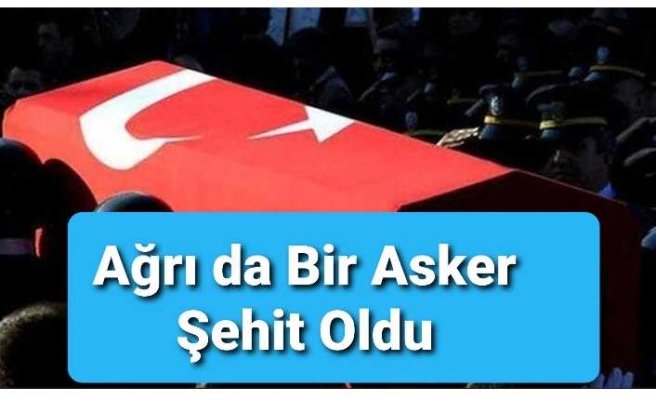 Ağrı da Bir Asker Şehit Oldu Bir Yaralı