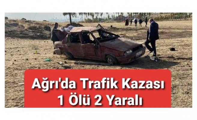 Ağrı'da Trafik Kazası 1 Ölü 2 Yaralı