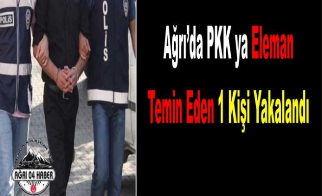 Ağrı da PKK'ya Eleman Temin Eden Kişi Yakalandı