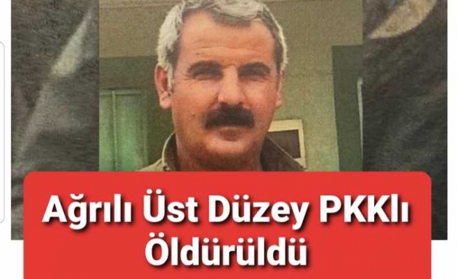 Ağrılı Üst Düzey PKK lı Öldürüldü