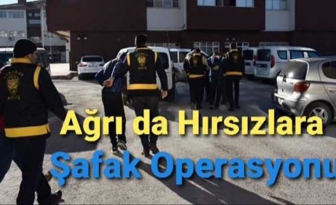 Ağrı da 5 Kişi Hırsızlık Suçlaması ile Gözaltına Alındı