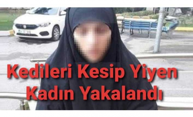 Vahşet..Kedileri Kesip Yiyormuş