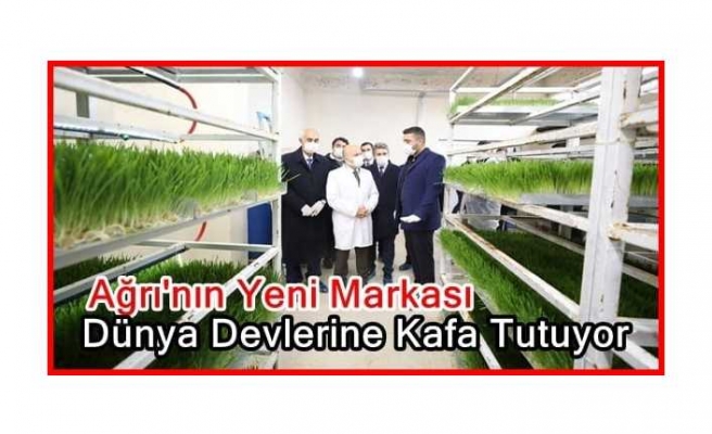 Ağrı’nın Yeni Markası Dünya Devlerine Kafa Tutuyor