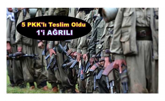 1'i Ağrılı 5 PKK'lı Teslim Oldu