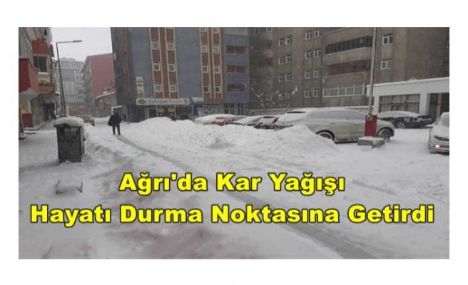 Ağrı'da Kar Yağışı Hayatı Durma Noktasına Getirdi