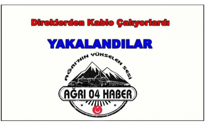 Ağrı'da Kablo Hırsızlığı Yapan 3 Kişi Yakalandı