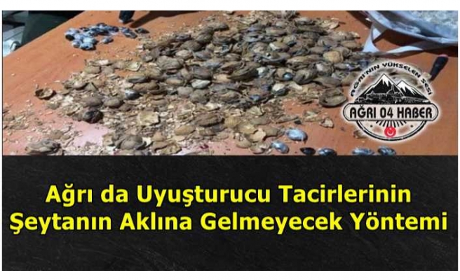 Akıl Almaz Yöntemlerine Rağmen Ağrı'yı Geçemediler