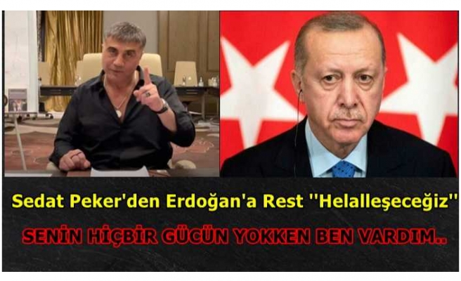 Peker, Erdoğan'a Seslendi ''Sen Yokken Ben Vardım''