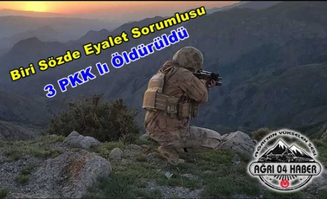 PKK'nın Erzurum Sorumlusu Ağrı'da Öldürüldü