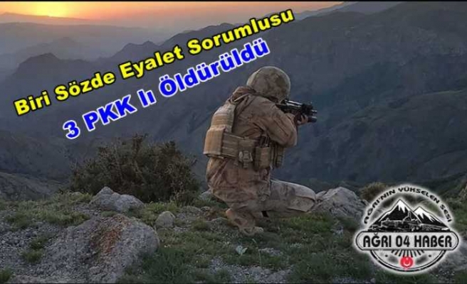 PKK'nın Erzurum Sorumlusu Ağrı'da Öldürüldü