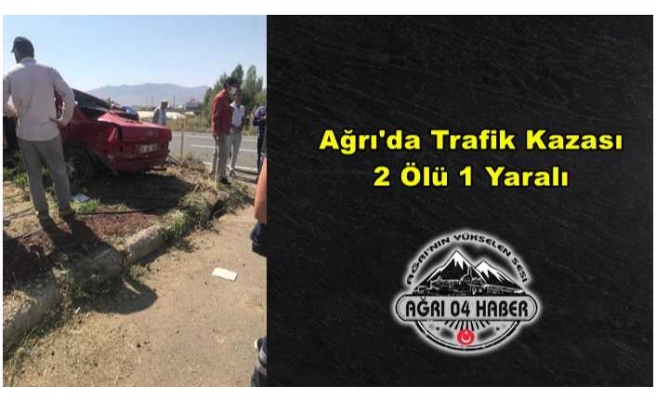 Ağrıda 2 otomobil çarpıştı 2 ölü 1 yaralı