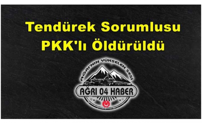 Biri Tendürek Sorumlusu 3 PKK'lı Öldürüldü