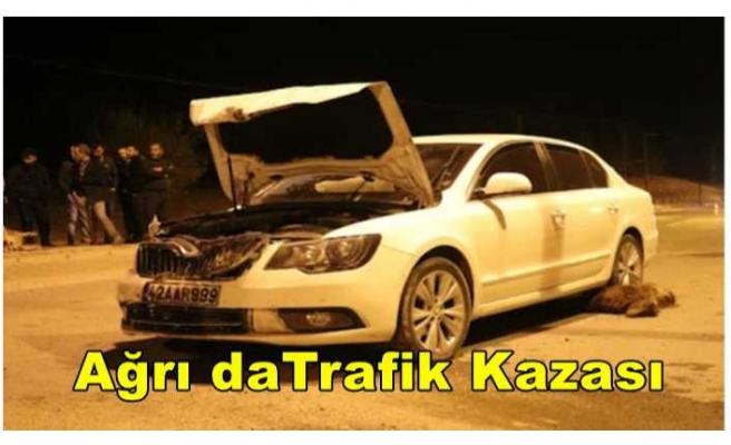 Ağrı da Trafik Kazası