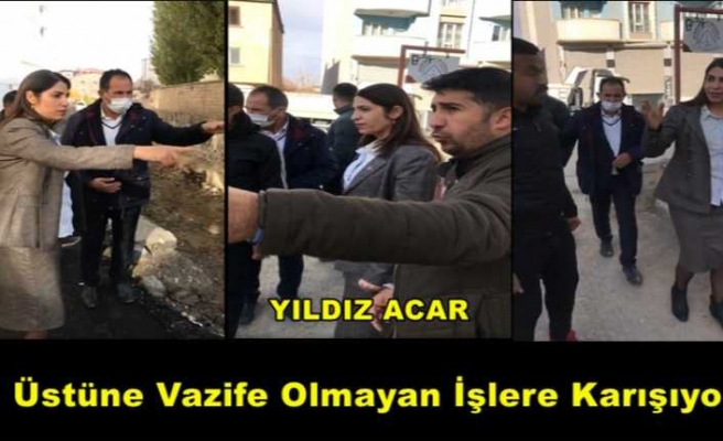 Yıldız Acar Doğubayazıt'ta Üstüne Vazife Olmayan İşler Yapıyor