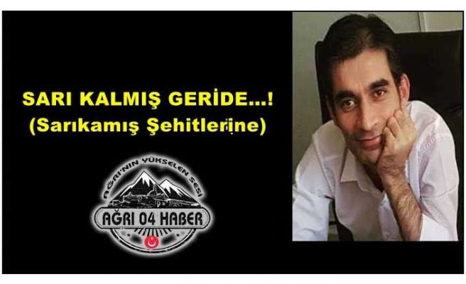 SARI KALMIŞ GERİDE…! (Sarıkamış Şehitlerine)