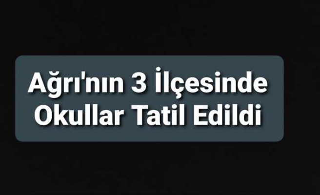 Ağrı'nın 3 İlçesinde Okullar Tatil Edildi