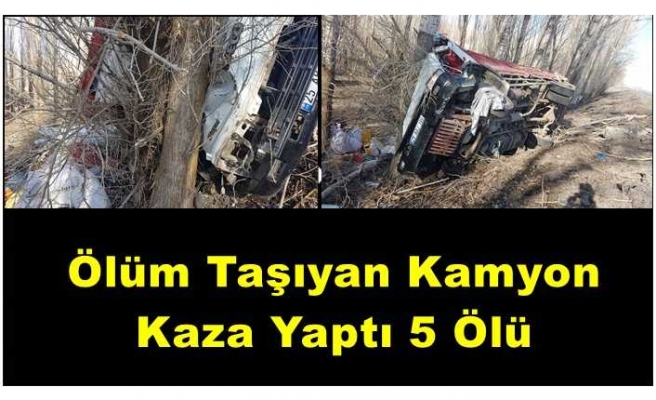 Ölüm Taşıyan Kamyon Ağrı'da Kaza Yaptı