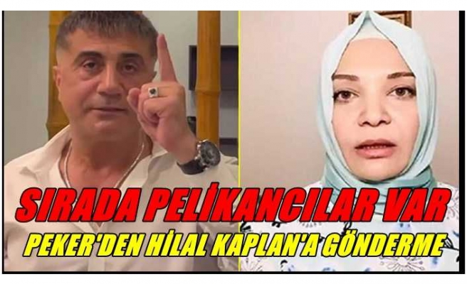 Sedat Peker Pelikan'a Sardı ,Sırada Hilal Kaplan Var