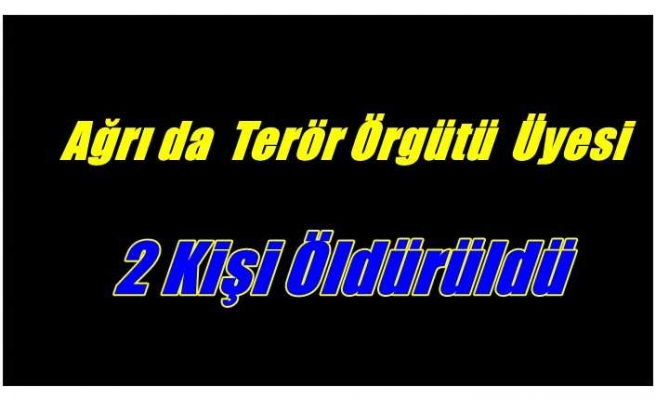 Ağrı'da terör örgütü üyesi iki kişi öldürüldü