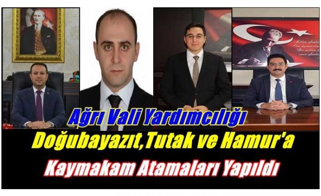 Ağrı Vali Yardımcılığı,Doğubayazıt,Tutak ve Hamur'a Yeni Kaymakam Ataması Yapıldı