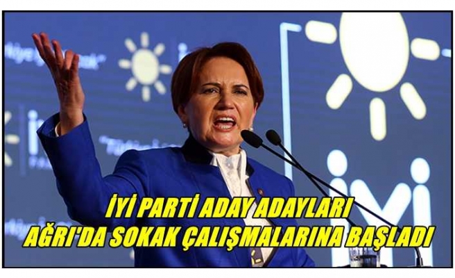 İYİ Parti Aday Adayları Ağrı'da sahaya indi