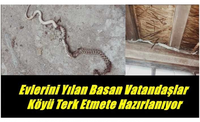 Ağrı'da evlerini yılanların bastığı vatandaşlar köyü terk etmeye hazırlanıyor