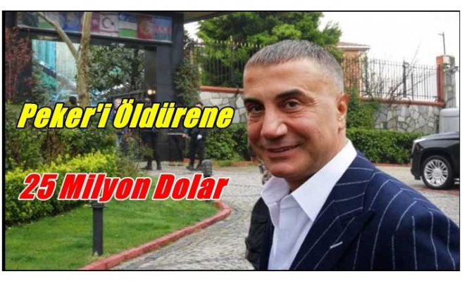 Sedat Peker'in kellesini almak için 25 milyon doları gözden çıkardılar