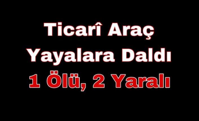 Ağrı'da Ticari Araç Yayalara Daldı 1 Ölü,2 Yaralı