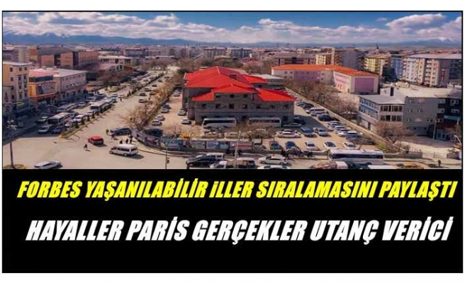 Ağrı Yaşanılabilir İller Sıralamasında Yerlerde Sürünüyor