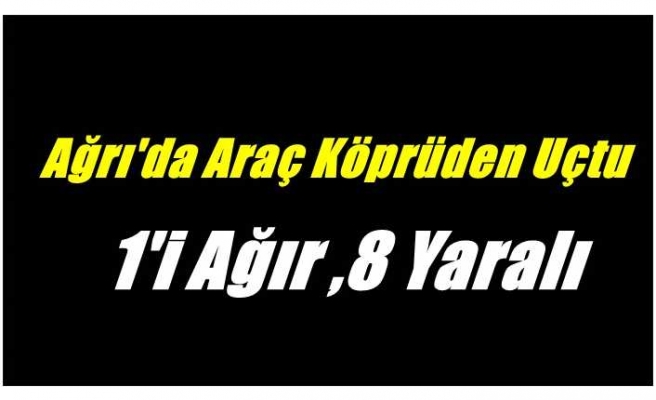 Ağrı'da köprüden uçan araçta 1 ağır 8 kişi yaralandı