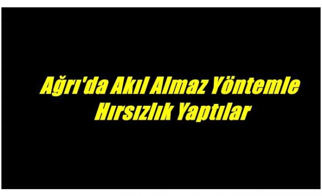 Ağrı'da akıl almaz bir yöntemle hırsızlık yapan çete sırra kadem bastı