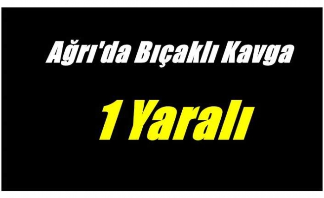 Ağrıda bıçaklı kavga 1 yaralı