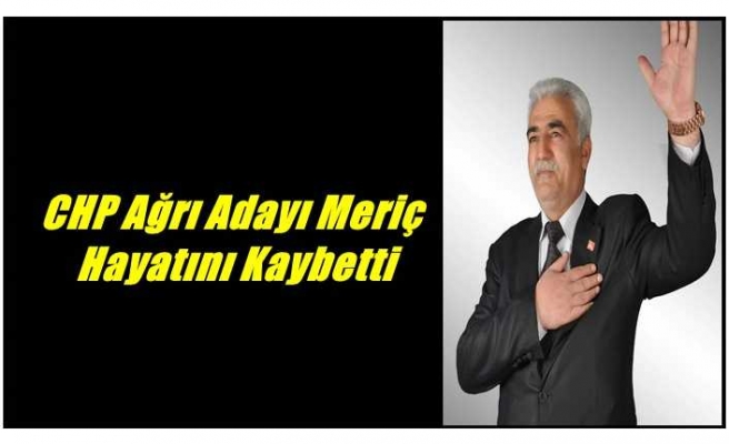 Ahmet Meriç Hayatını Kaybetti