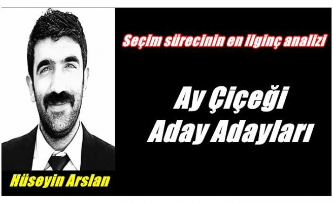 Ay çiçeği aday adayları