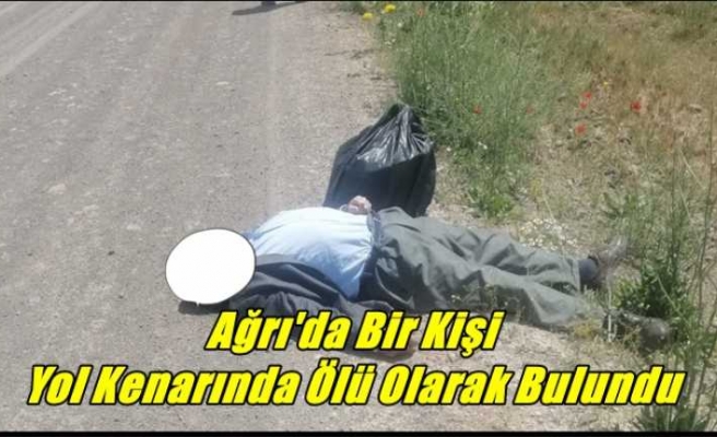 Ağrı'da Bir Kişi Yol Kenarında Ölü Olarak Bulundu