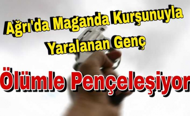 Ağrı'da düğünde maganda kurşunu isabet eden genç başından ağır yaralandı