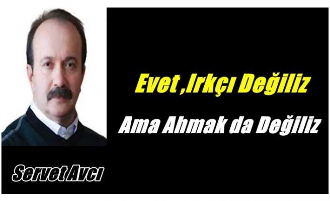 Evet, ırkçı değiliz ama ahmak da değiliz!..