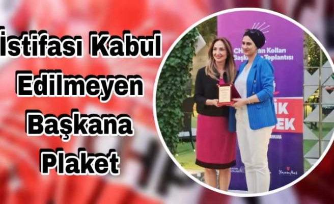 İstifası Kabul Edilmeyen Ağrı Başkanına CHP'den Plaket