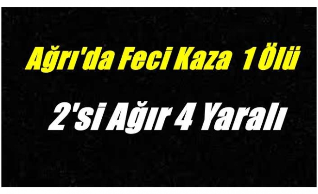 Ağrı'da feci kaza 1 Ölü 2'si ağır 4 yaralı