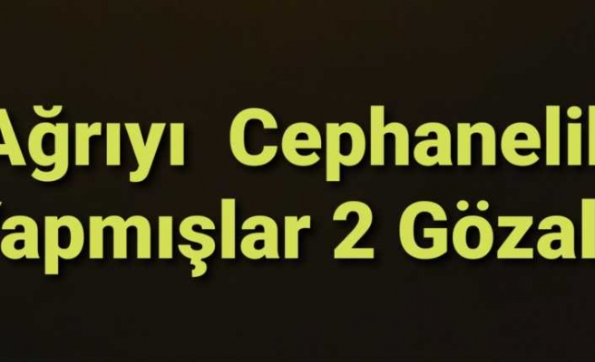 Ağrıyı Cephaneliğe Dönüştürmüşler