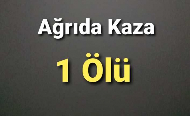 Ağrıda yaşanan kazada 1 çocuk hayatını kaybetti