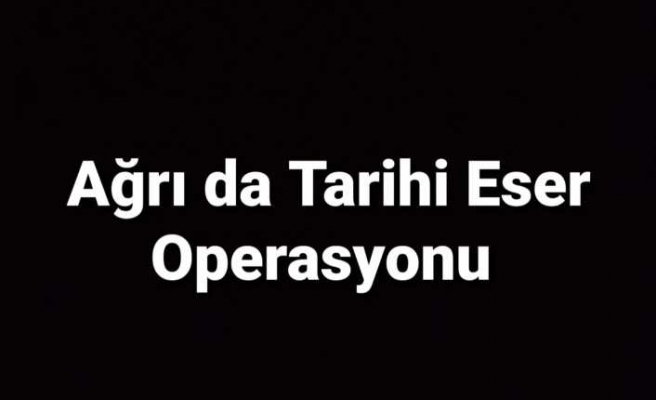 Ağrı'da Tarihi Eser Operasyonu 1 Gözaltı