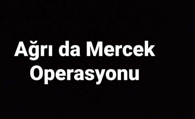 Ağrı da Mercek Operasyonu