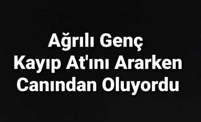 Ağrı'da At'ını arayan genç ölümden döndü