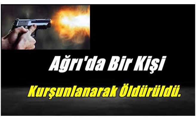 Ağrı'da bir kişi kurşunlanarak öldürüldü.