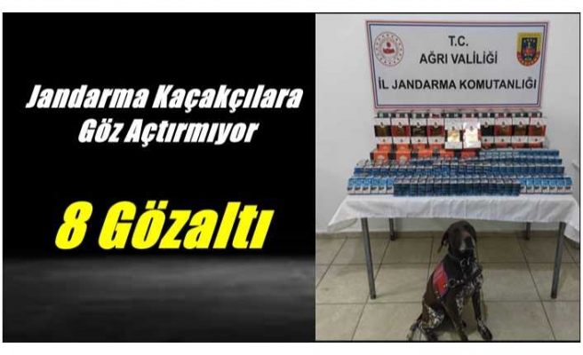 Ağrı'da Jandarma Kaçakçılara Göz Açtırmıyor