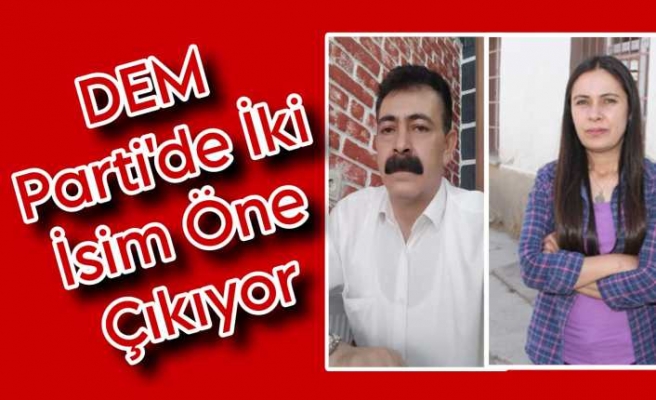 Ağrı DEM Parti Ön Seçime Gidiyor