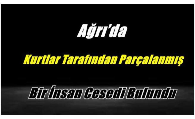 Ağrı’da Kurtlar Tarafından Parçalanmış Bir İnsan Cesedi Bulundu